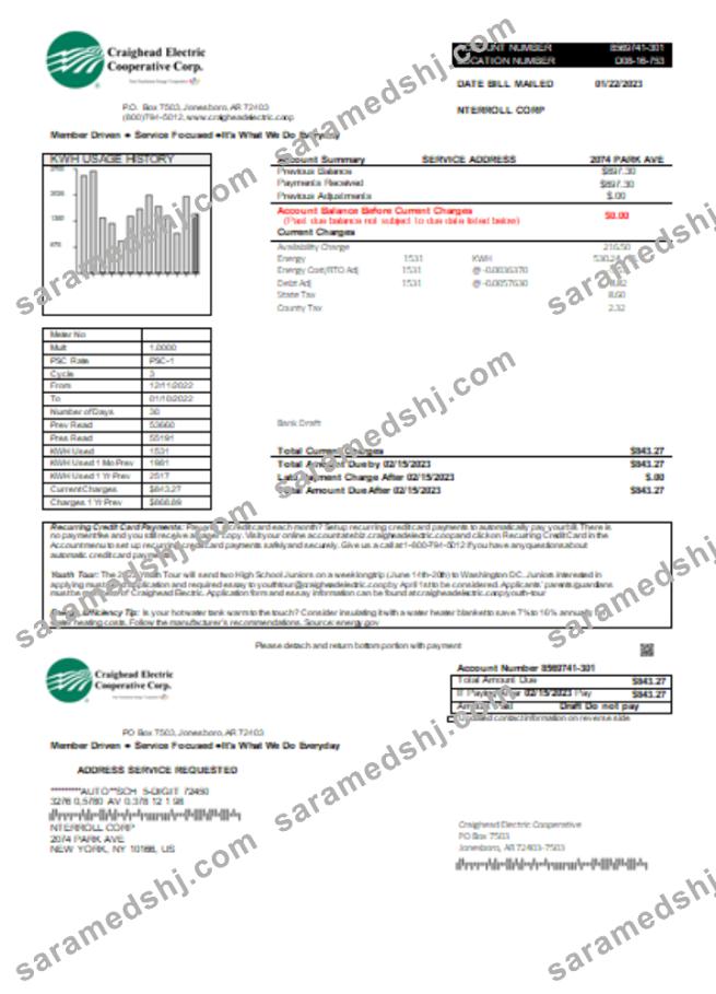 Craighead Electric Cooperative utility business bill, SCR